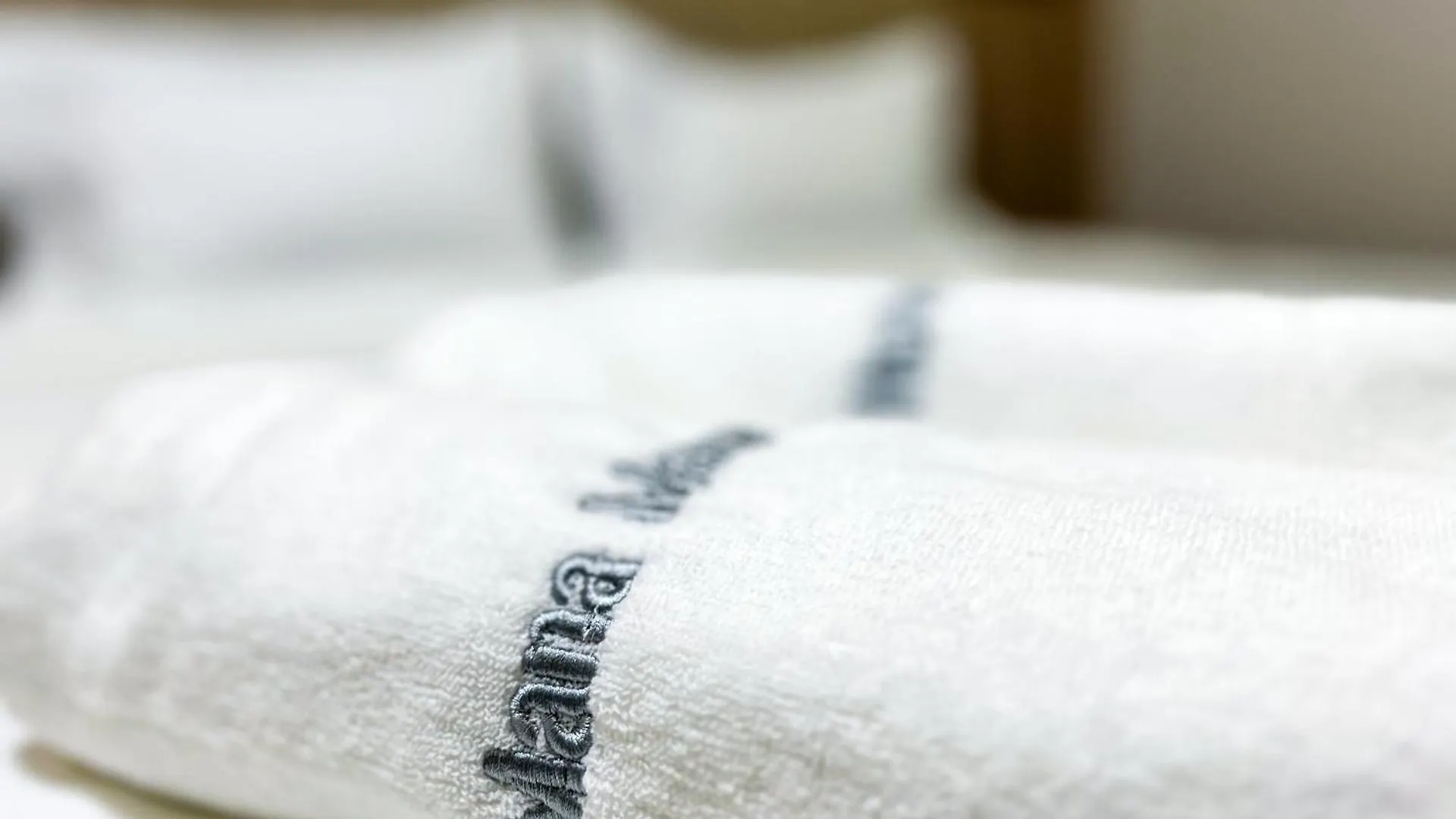 Mana Mana Hotel • Melaka • Herberg